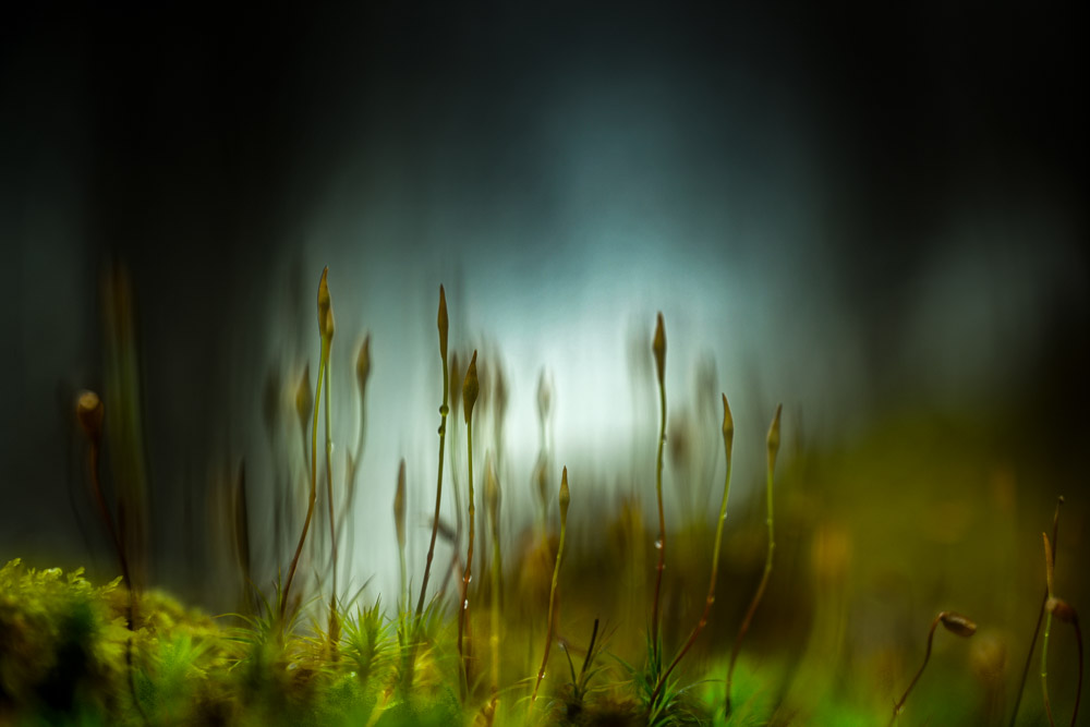 Platz 3 Robert Seitz